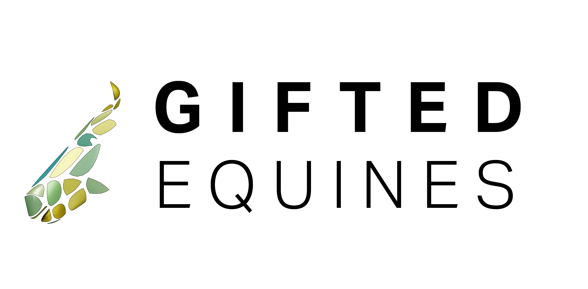 Gifted Equines Launch Gifted Equines